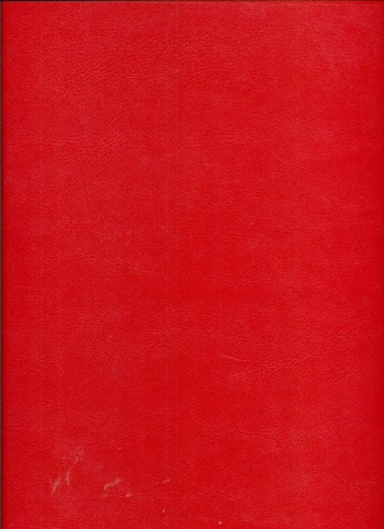 8712115004287 - Esselte panorama ringband 23-rings 20 mm rood