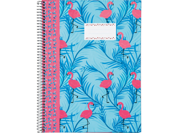 8712127040938 - Flamingo's spiraalblok hardcover A4 lijn believe