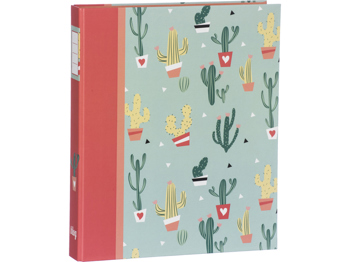 8712127041041 - Cactus ringband 4-rings 30mm