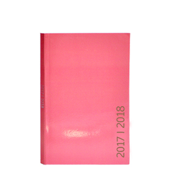 8713261977210 - Pastel schoolagenda 2017-2018 A5 roze