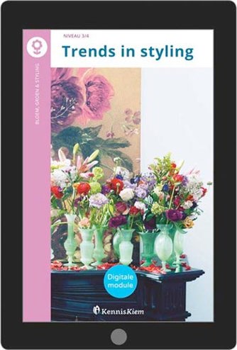 8717247012322 - (ECK) Digitale module Trends in styling (92506)