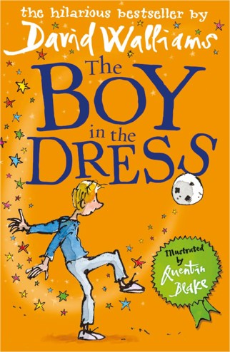 9780007279043 - The boy in the dress
