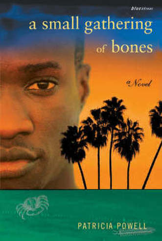 9780807083673 - A small gathering of bones