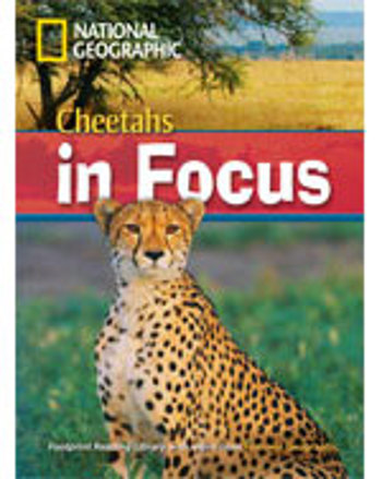 9781424022199 - Cheetahs in focus 6 (+ dvd)