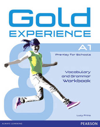 9781447913870 - Gold experience A1 grammar & vocabulary workbk (without key)