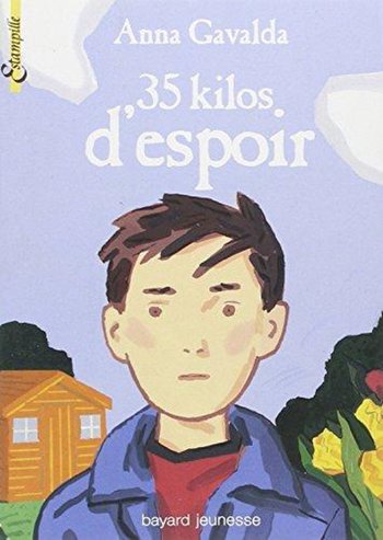 9782747006606 - 35 kilos despoir