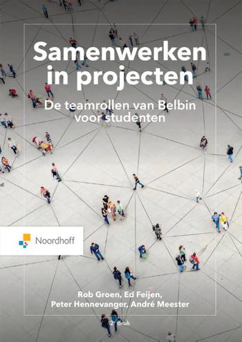 9789001749828 - Samenwerken in projecten