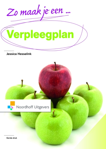 9789001804961 - Zo maak je een verpleegplan!