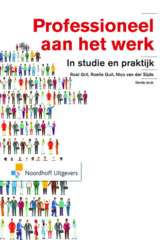 9789001853303 - Professioneel aan het werk