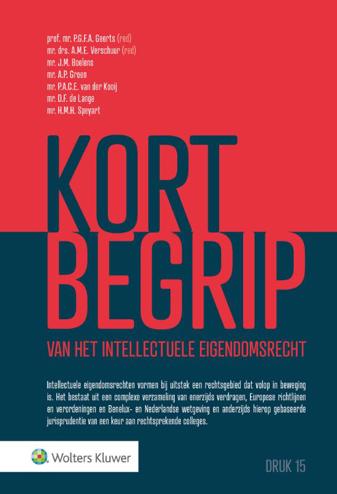 9789013165890 - Kort begrip van het intellectuele eigendomsrecht