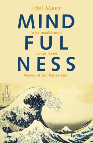 9789020965162 - Mindfulness In De Maalstroom Van Je Leven