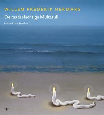 9789023442547 - Volledige werken van W.F. Hermans 17
