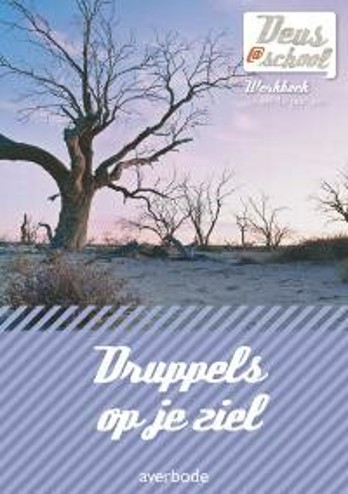 9789031731862 - Deus@school 2e graad Druppels op je ziel