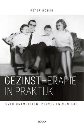 9789033488214 - Gezinstherapie in praktijk. over ontmoeting, proces en context