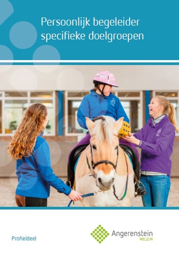 9789037229653 - Persoonlijk begeleider specifieke doelgroepen en Thuisbegeleider