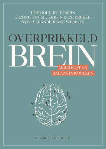 9789043924887 - Overprikkeld brein Meer rust en balans in 10 weken