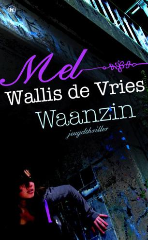 9789044333824 - Waanzin