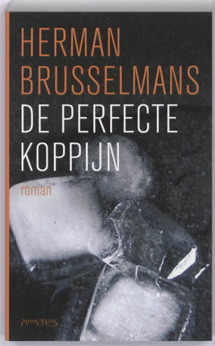 9789044613438 - De perfecte koppijn