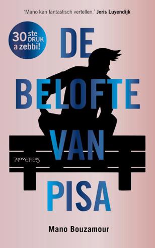 9789044650532 - De belofte van Pisa