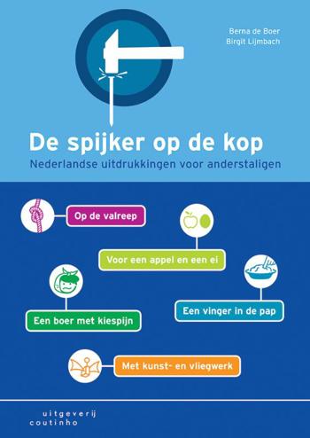 9789046904510 - De spijker op de kop
