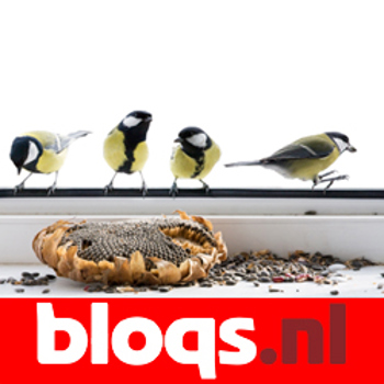 9789047912392 - Bloqs vmbo-kgt examentraining biologie 2010 (ER)