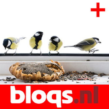 9789047912620 - Bloqs vwo examentraining biologie 2010 plus (ER)