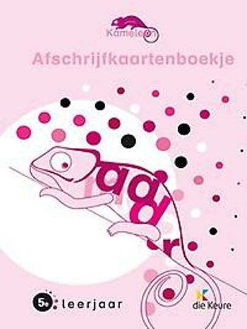 9789048601486 - Kameleon spelling 5 afschrijfkaartenboekje