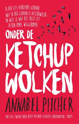 9789049926458 - Onder de ketchupwolken