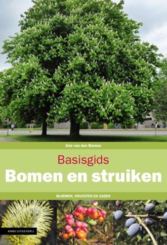 9789050117302 - Basisgids Bomen en struiken: Bloemen, vruchten en zaden