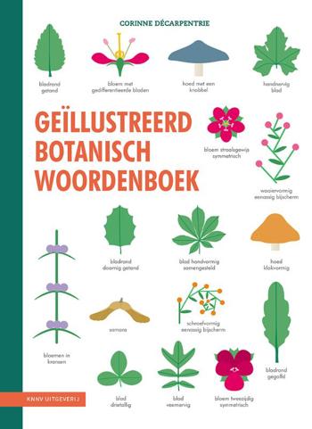 9789050118293 - Geillustreerd botanisch woordenboek