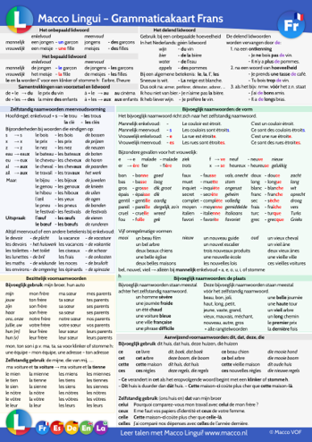 9789051981155 - Macco Lingui - Grammaticakaart Frans