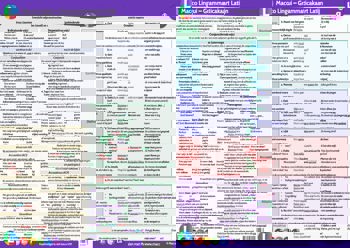 9789051981193 - Macco Lingui - Grammaticakaart Latijn