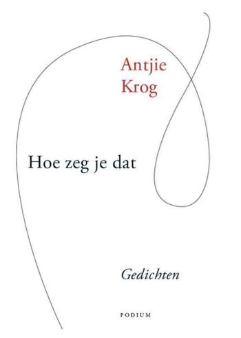 9789057592300 - Hoe zeg je dat