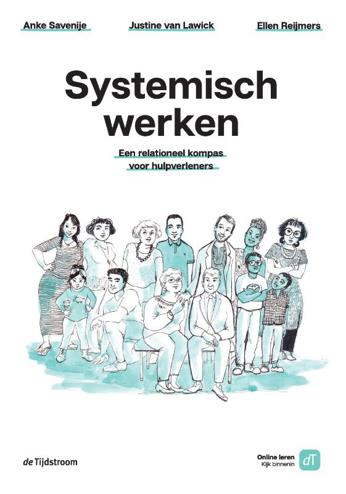 9789058983169 - Systemisch werken