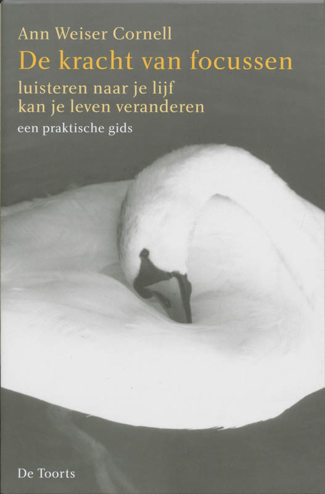 9789060207765 - De kracht van focussen