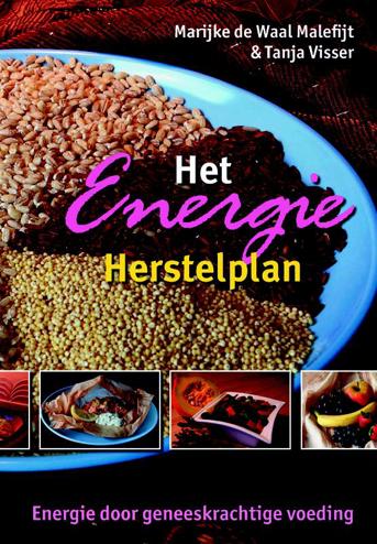 9789063787691 - Het Energie Herstelplan