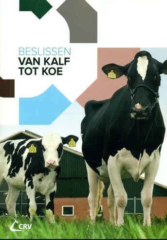 9789081096669 - Beslissen van kalf tot koe