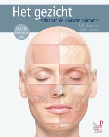 9789085621218 - Het gezicht