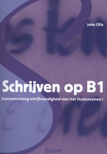 9789089533159 - Schrijven op B1