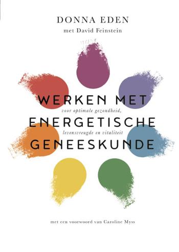 9789401304528 - Werken met energetische geneeskunde