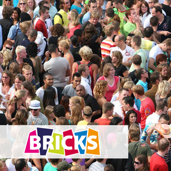 9789461713704 - Bricks social studies (bovenbouw) tvwo textbook