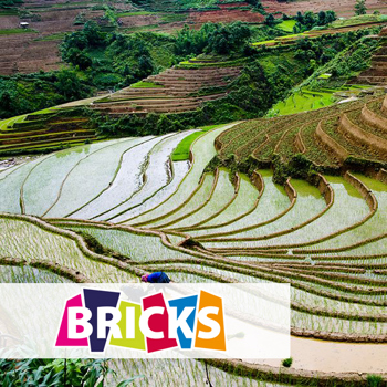9789461714329 - Bricks food & agriculture (magazine)