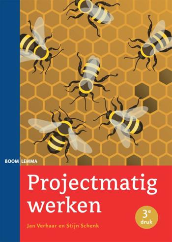 9789462364028 - Projectmatig werken