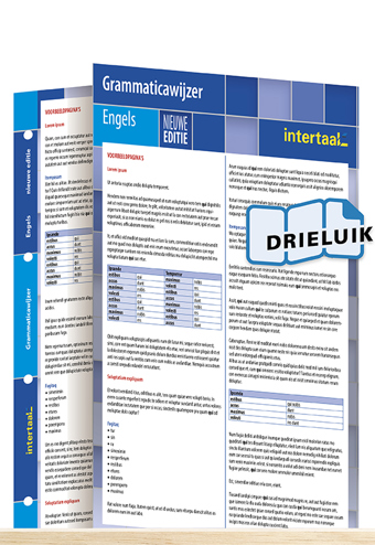 9789462930858 - Grammaticawijzer Engels - nieuwe editie uitklapkaart