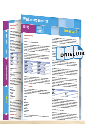9789462934580 - Werkwoordenwijzer Duits - nieuwe editie uitklapkaart