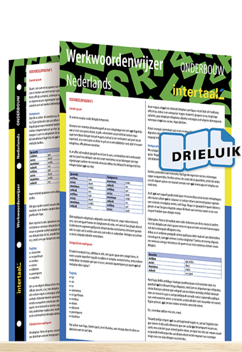 9789462935716 - Werkwoordenwijzer Nederlands onderbouw uitklapkaart