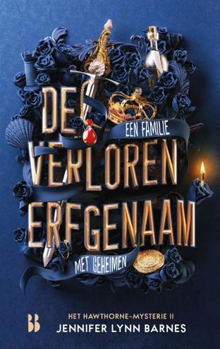 9789463494090 - De verloren erfgenaam