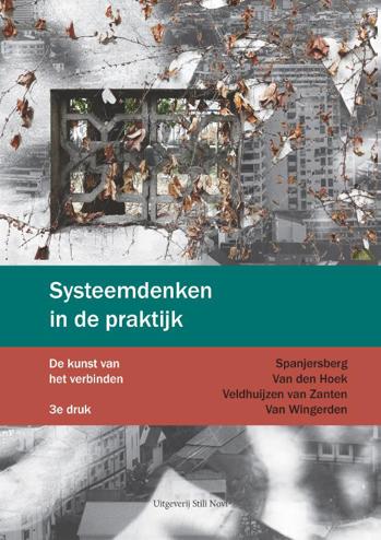 9789491076268 - Systeemdenken in de praktijk