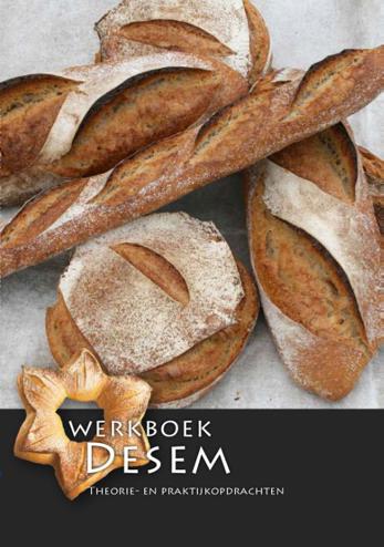 9789491849329 - Werkboek Desem