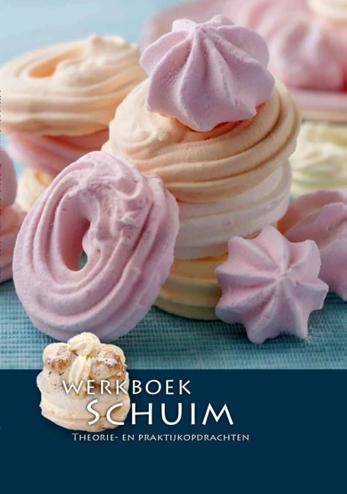 9789491849350 - Werkboek Schuim